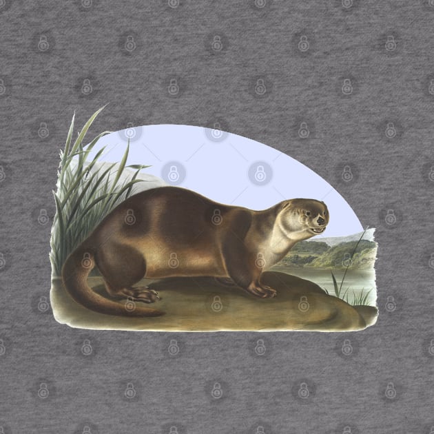 Otter Wildlife Illustration by Biophilia